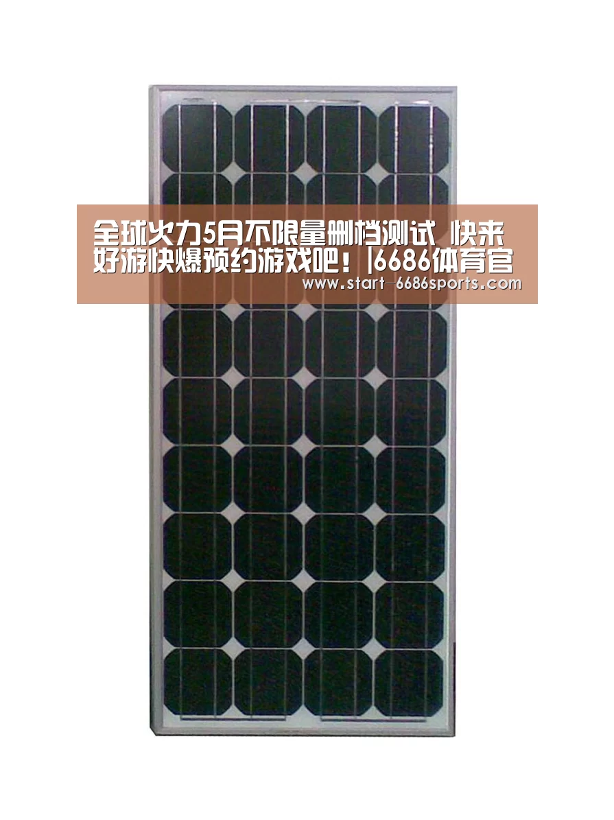 6686体育官网入口